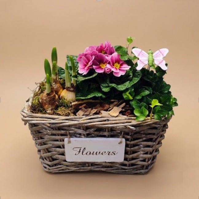 Montage de plantes extérieur