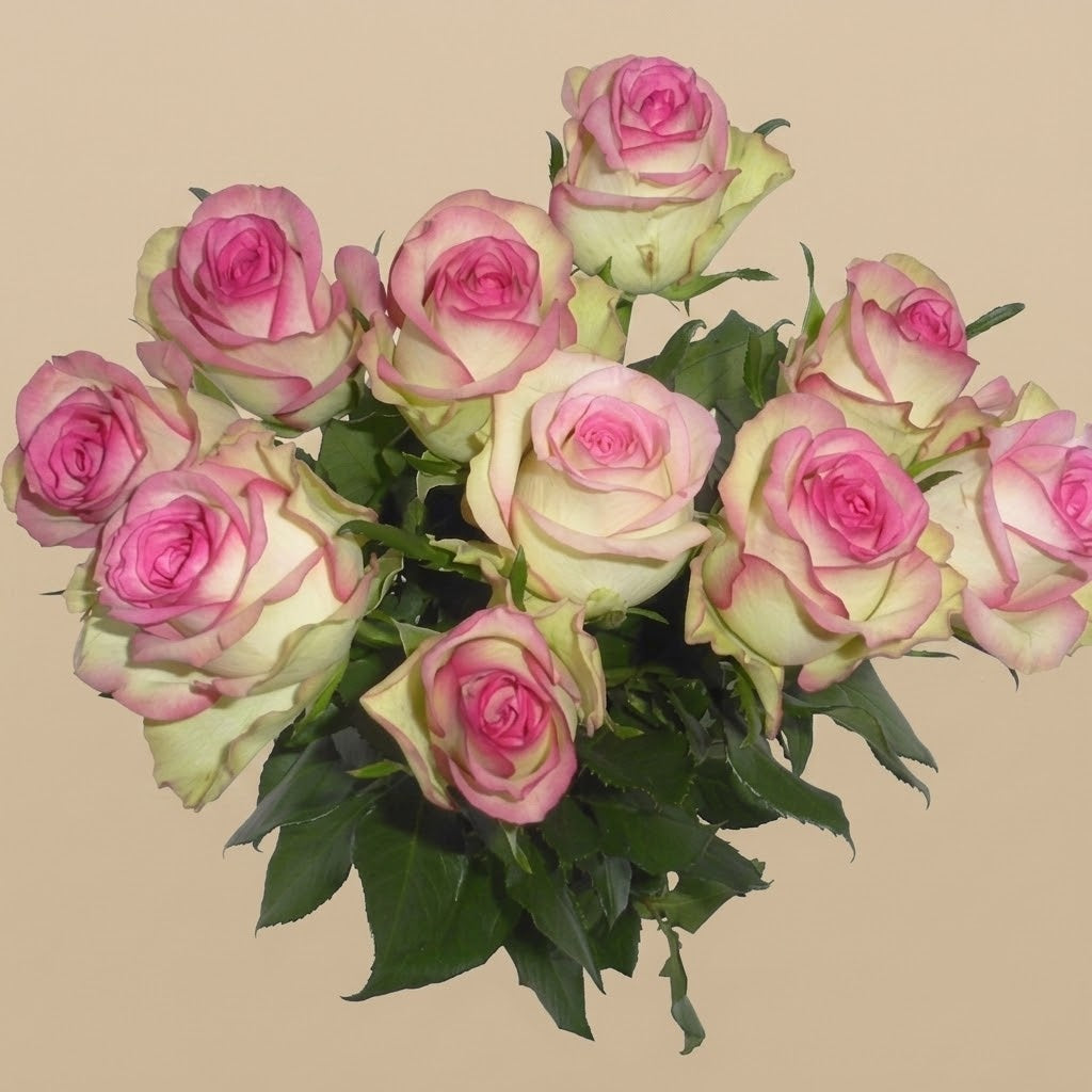 Bouquet de roses