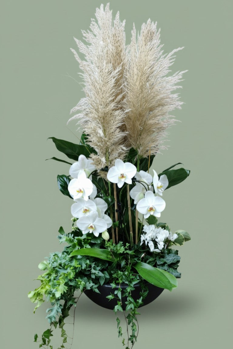 Montage de plantes intérieur avec orchidée 023