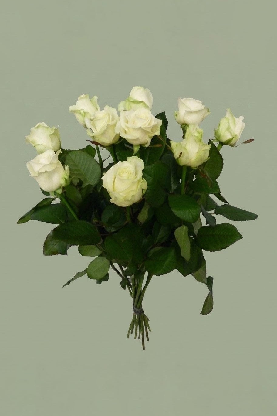 bouquet de roses blanche 10