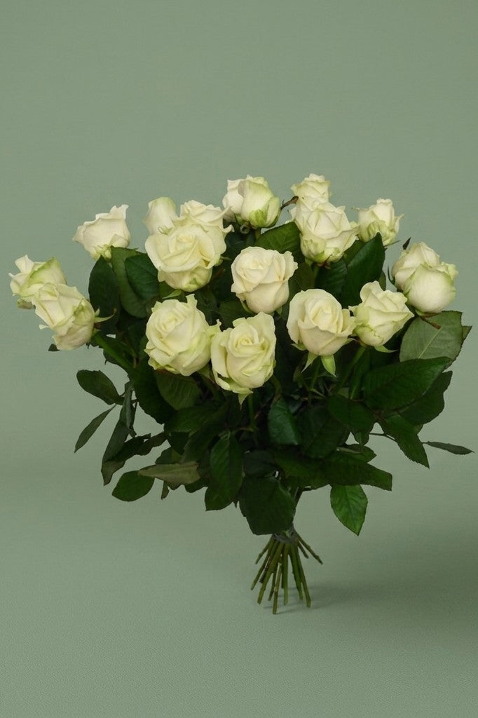 bouquet de roses blanche 20