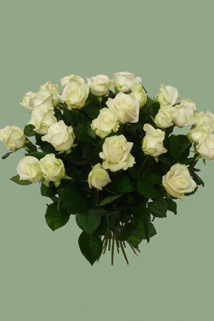 bouquet de rose blanche 30