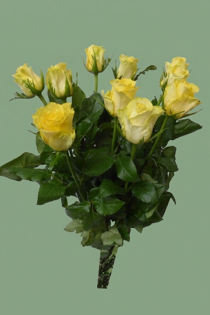bouquet de roses jaune 10