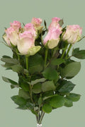 bouquet de roses rose 10