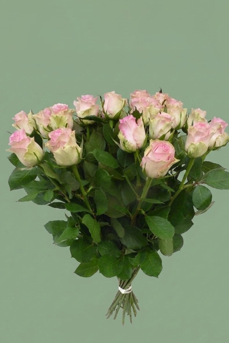 bouquet de roses rose 20