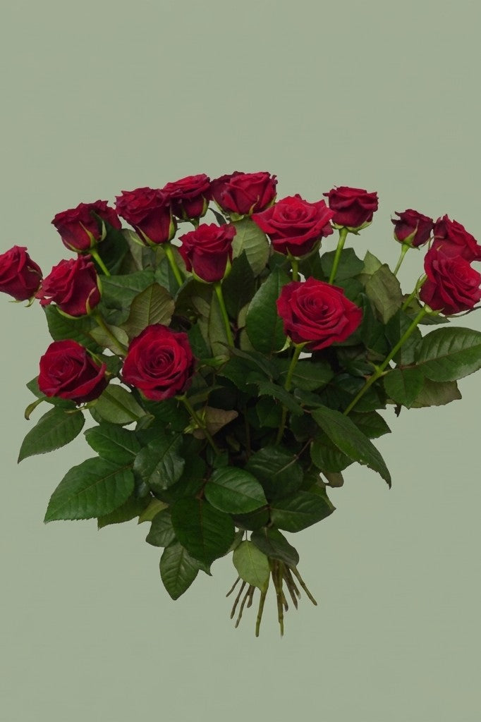 bouquet de roses rouge 20