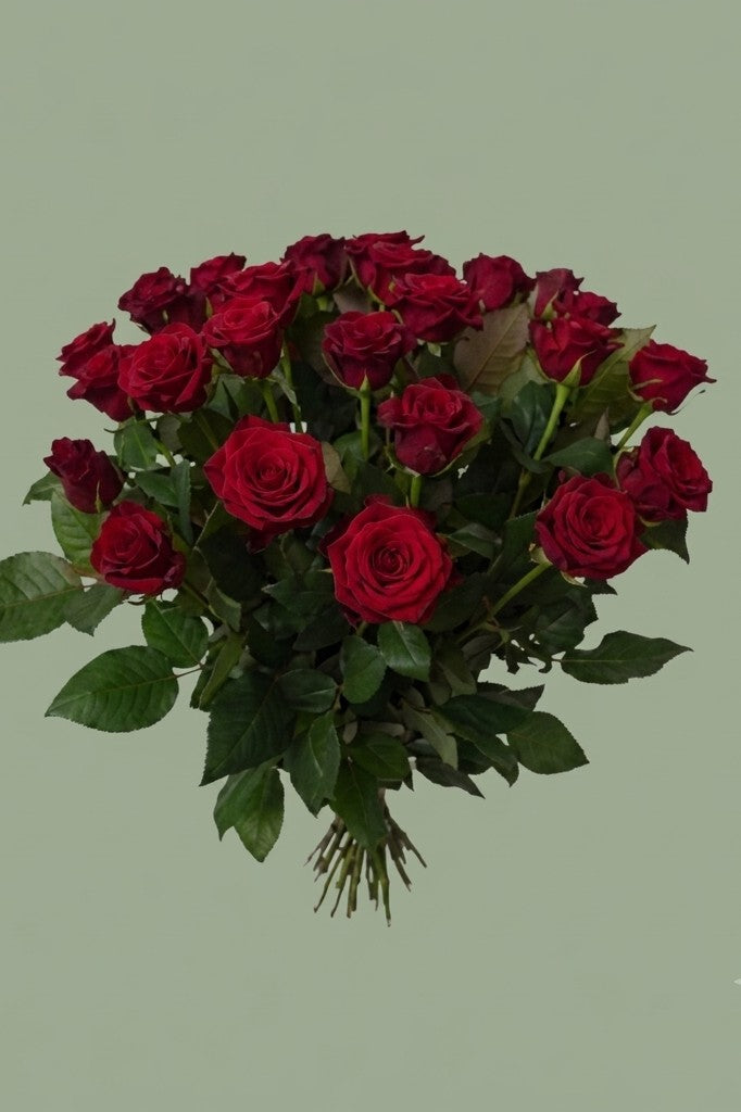 bouquet de rose rouge 30
