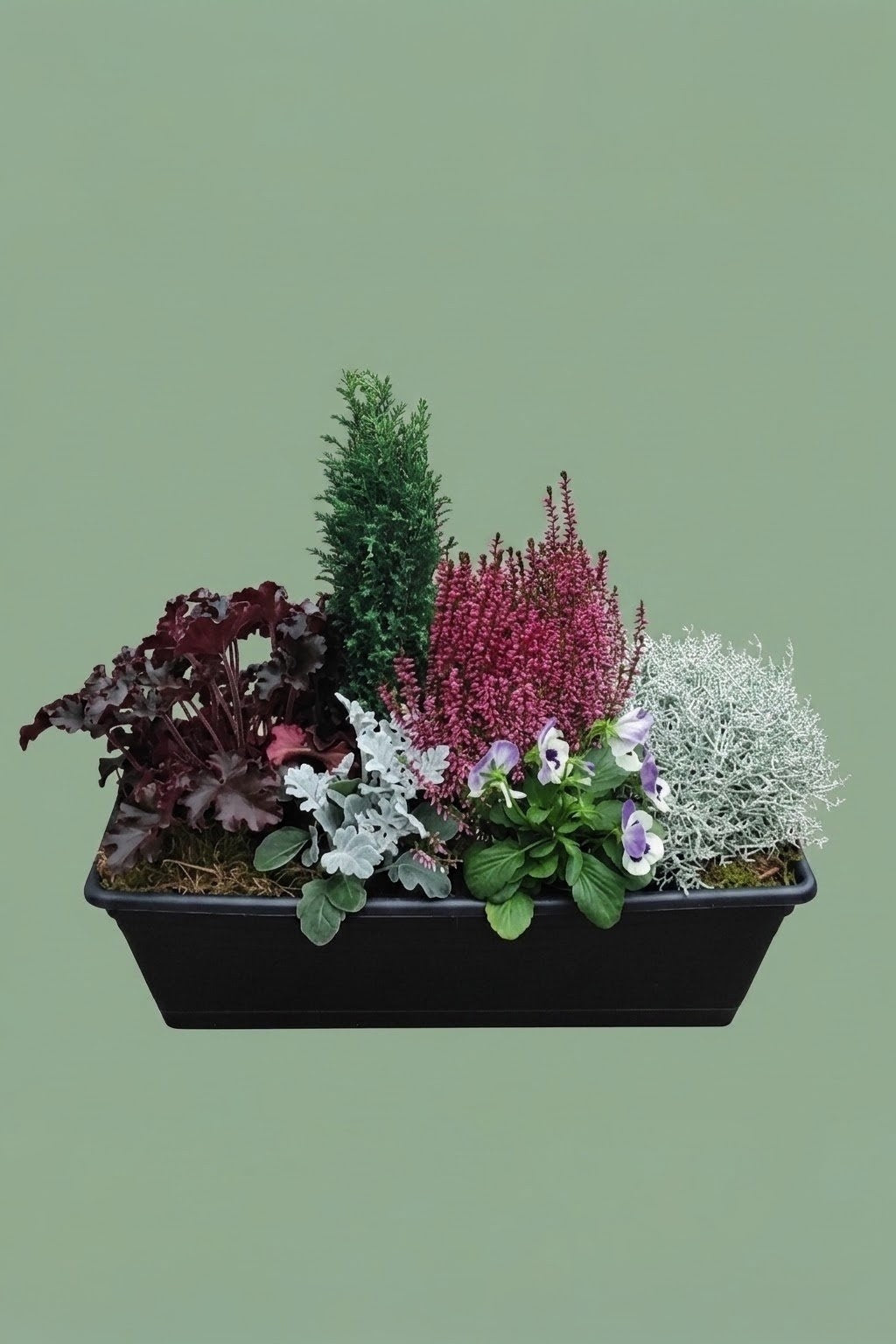 Jardinière d'automne S