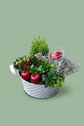 Montage de plante extérieure automnal 002