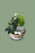 Montage de plante extérieure automnal 004
