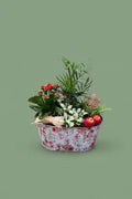 Montage de plantes d'intérieur 012