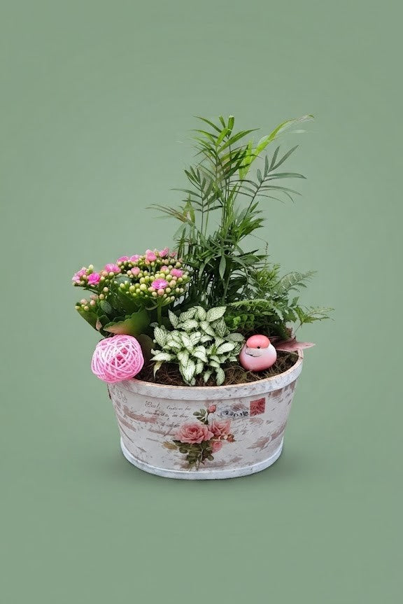 Montage de plantes d'intérieur 013
