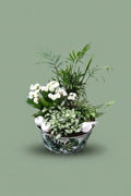 Montage de plantes d'intérieur 014