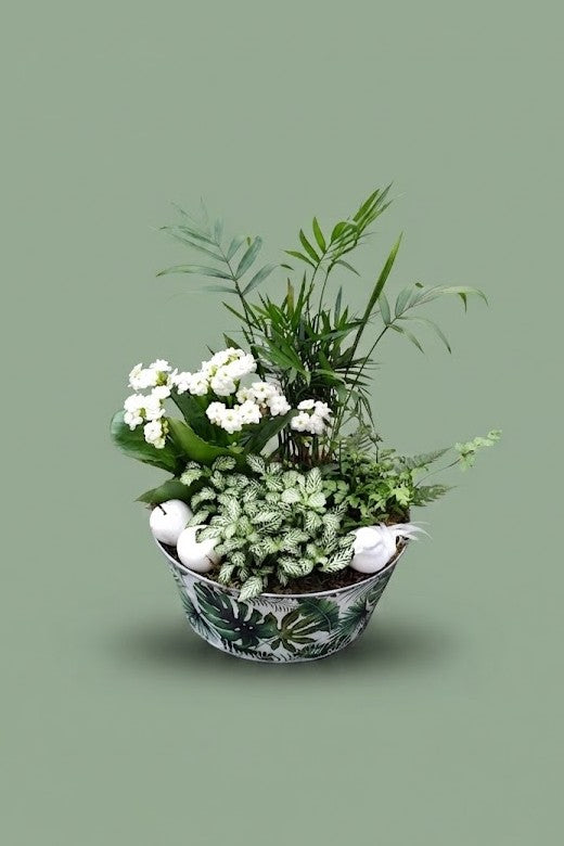 Montage de plantes d'intérieur 014